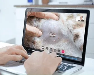 Laptop mit laufender Videosprechstunde