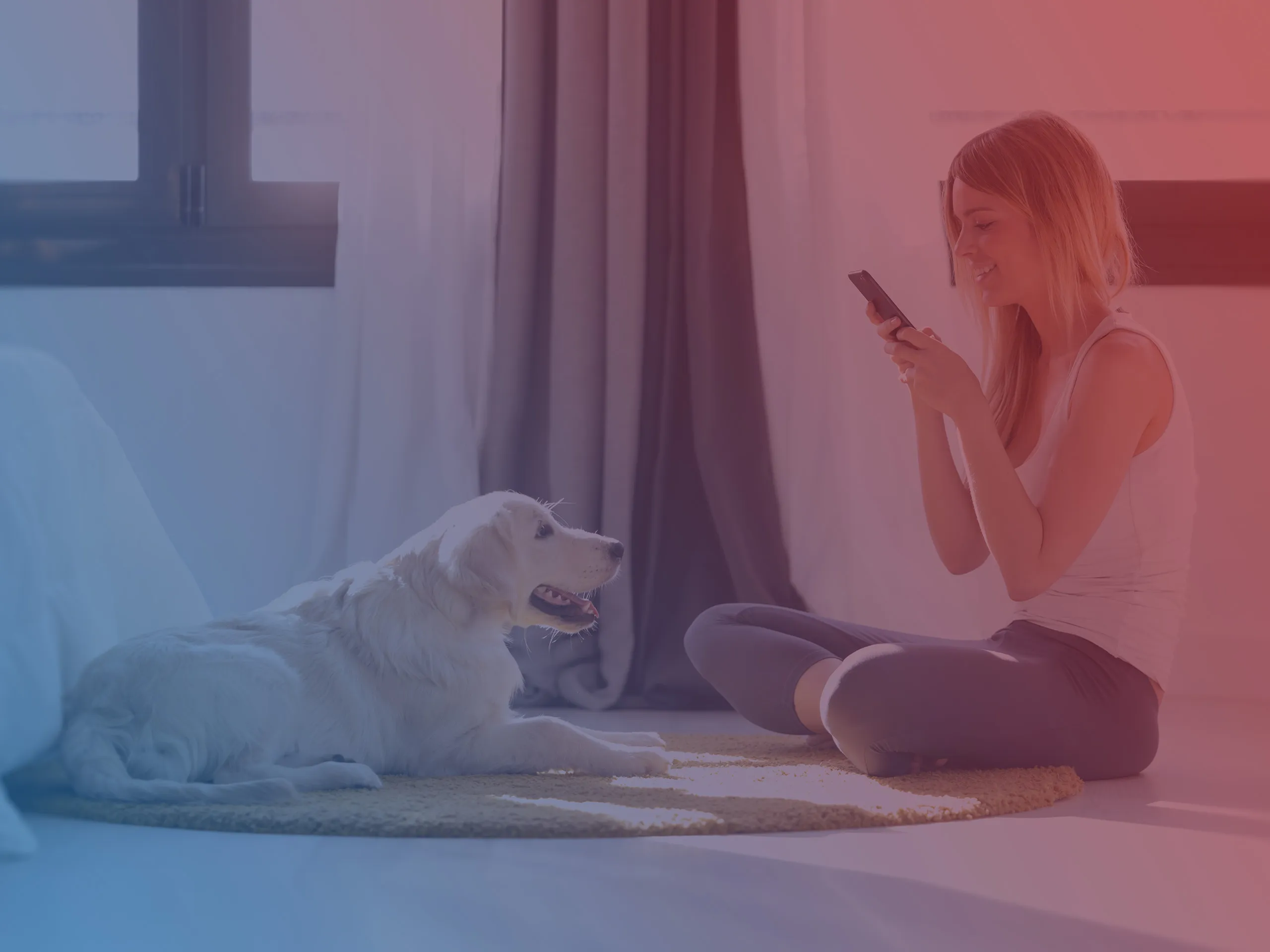 Tierhalterin mit Hund am Smartphone