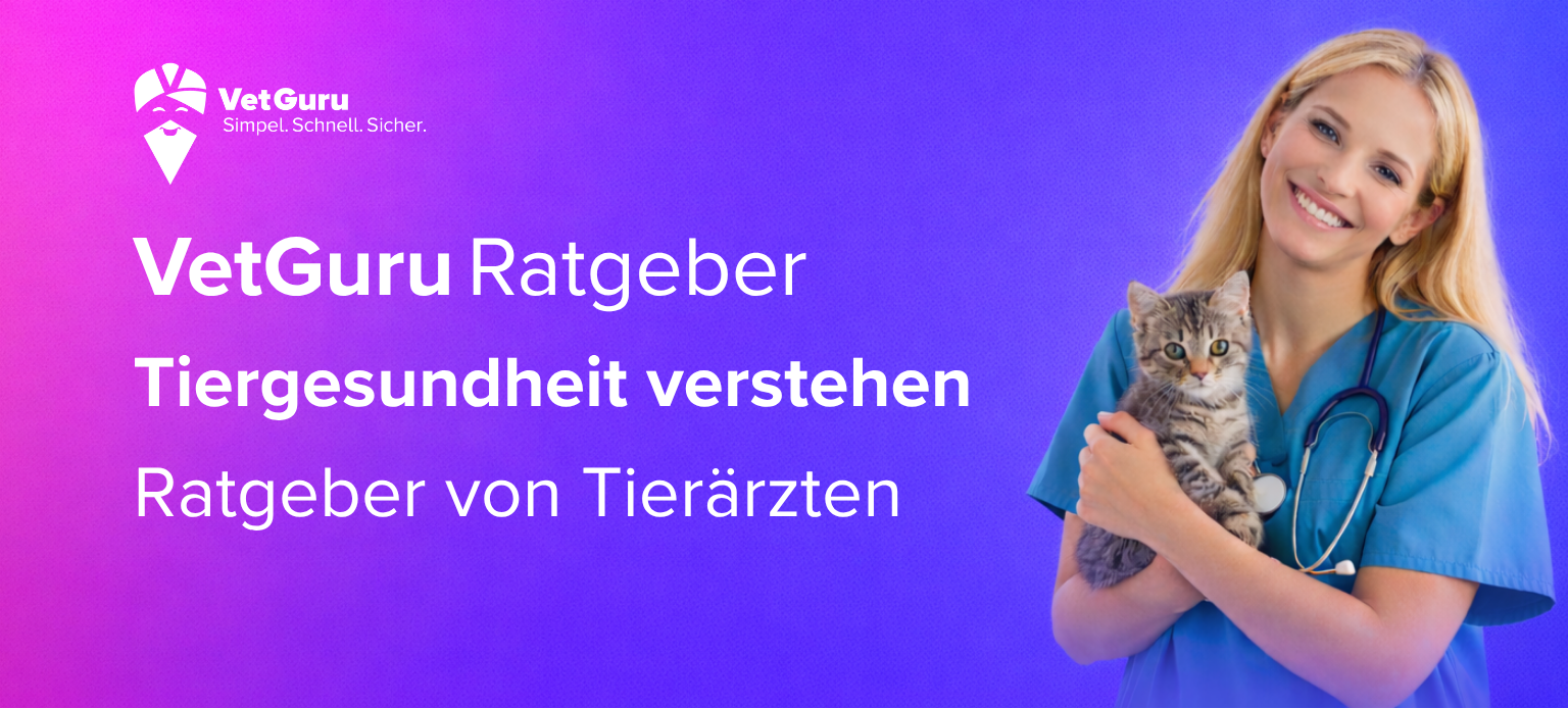 VetGuru Ratgeber Banner